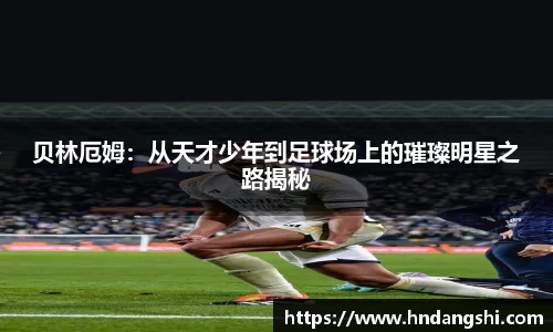 乐鱼体育APP